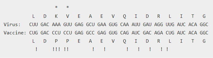 Spike protein encoding in vaccine and virus