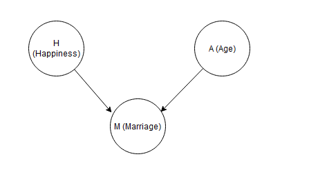  Causal Diagram of Marriage