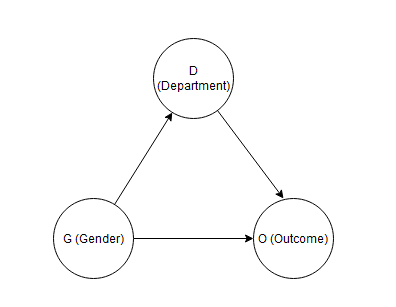 Causal Diagram of Admissions Outcomes